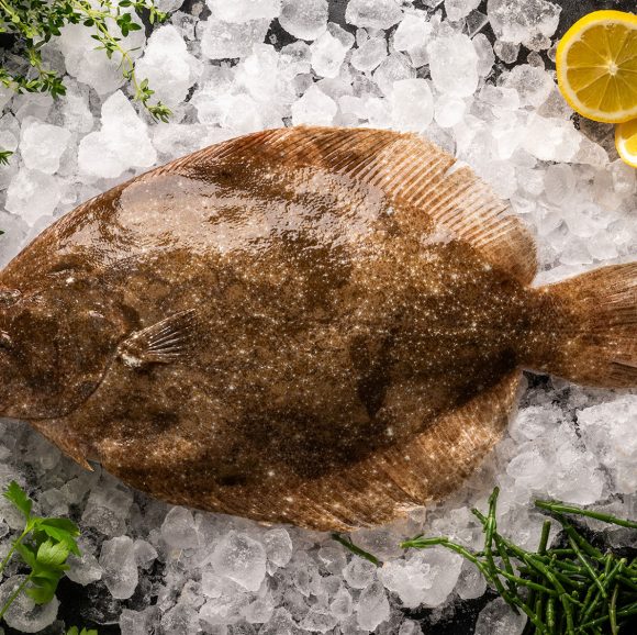 Fresh Brill (1 x Whole Fish Filleted 200g-300g)