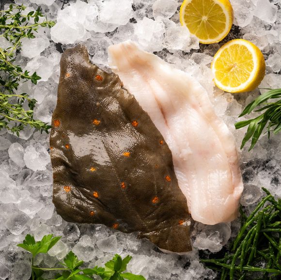 Fresh Fillets of Plaice (2 x 140g-170g)